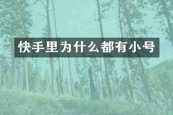 快手里为什么都有小号