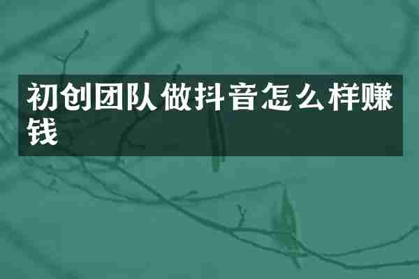 初创团队做抖音怎么样赚钱