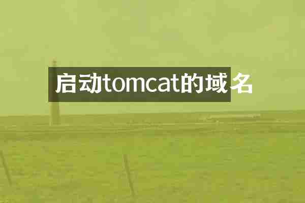 启动tomcat的域名