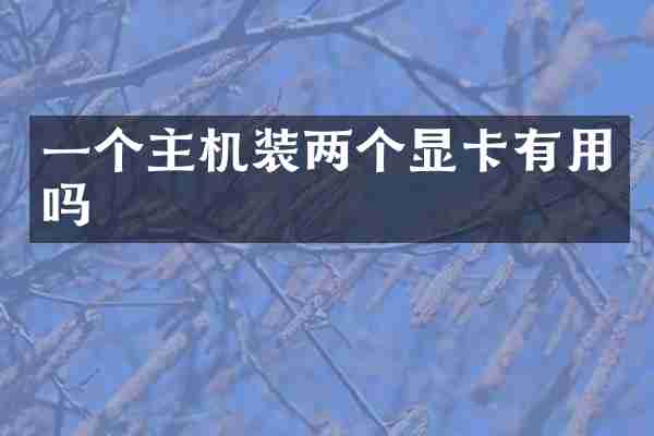 一个主机装两个显卡有用吗