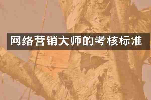 网络营销大师的考核标准