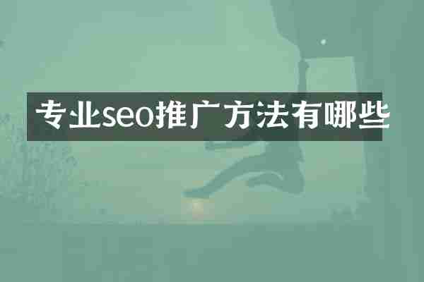 专业seo推广方法有哪些