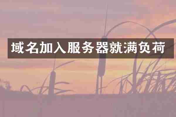 域名加入服务器就满负荷