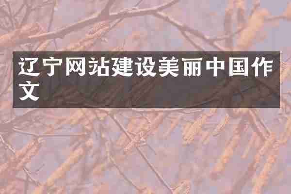 辽宁网站建设美丽中国作文