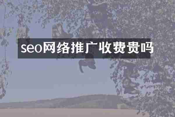 seo网络推广收费贵吗