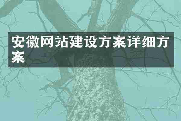 安徽网站建设方案详细方案