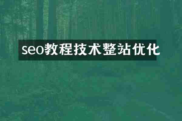 seo教程技术整站优化