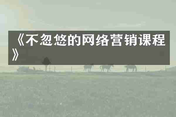 《不忽悠的网络营销课程》
