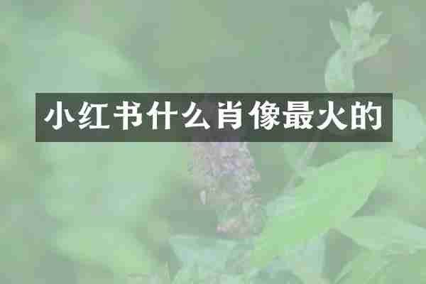 小红书什么肖像最火的