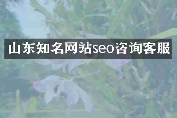 山东知名网站seo咨询客服