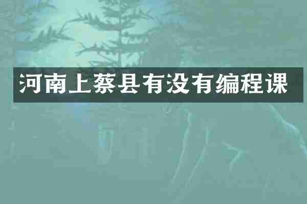河南上蔡县有没有编程课