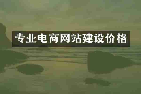 专业电商网站建设价格