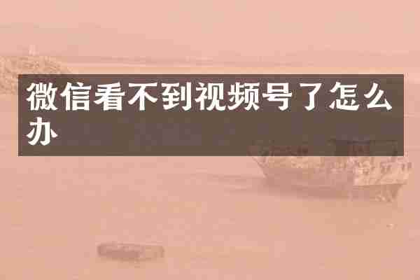 微信看不到视频号了怎么办