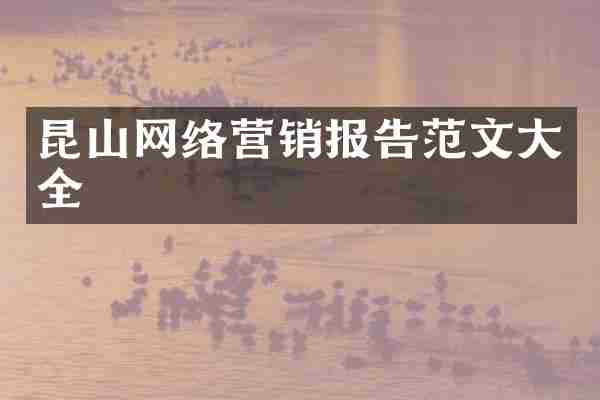昆山网络营销报告范文大全