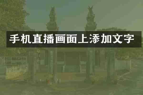 手机直播画面上添加文字