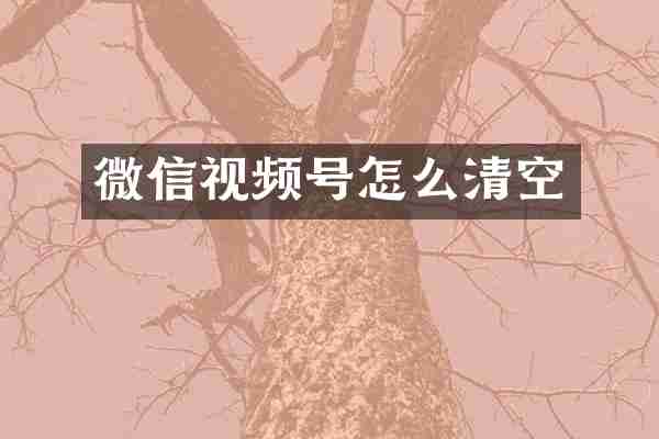 微信视频号怎么清空