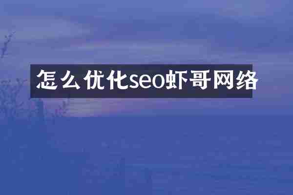 怎么优化seo虾哥网络