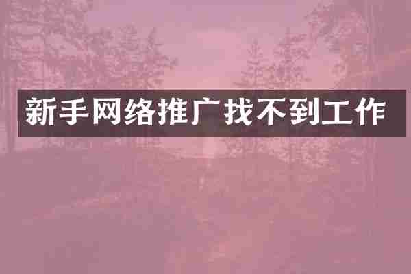 新手网络推广找不到工作