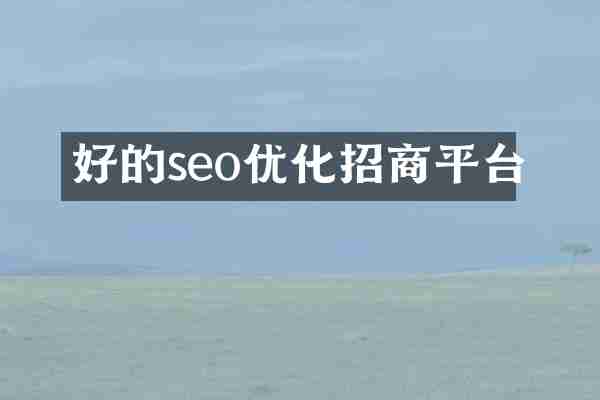 好的seo优化招商平台
