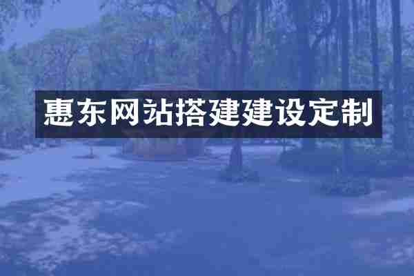 惠东网站搭建建设定制
