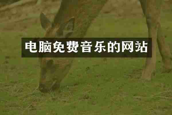 电脑免费音乐的网站