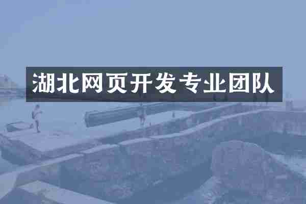 湖北网页开发专业团队
