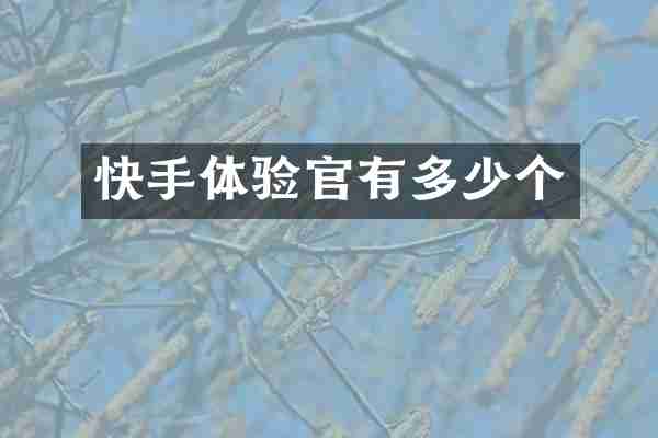 快手体验官有多少个