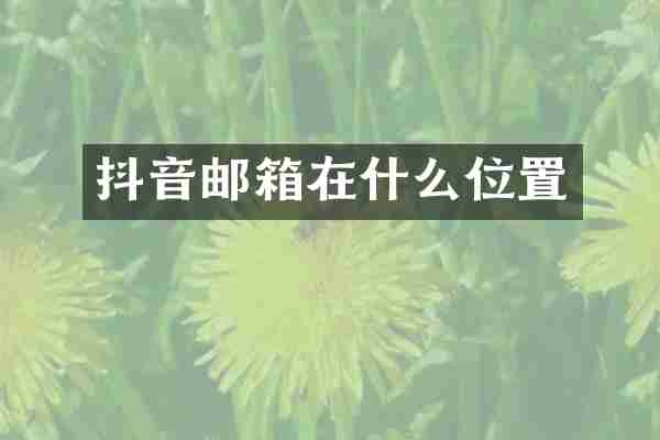 抖音邮箱在什么位置