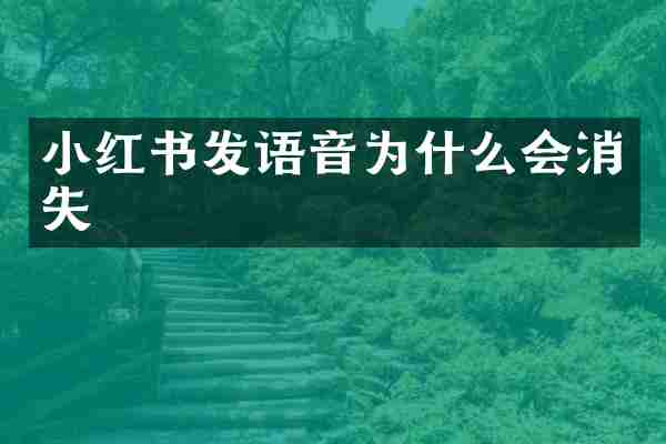 小红书发语音为什么会消失