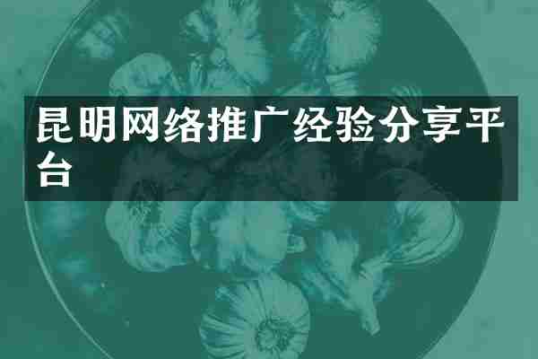 昆明网络推广经验分享平台