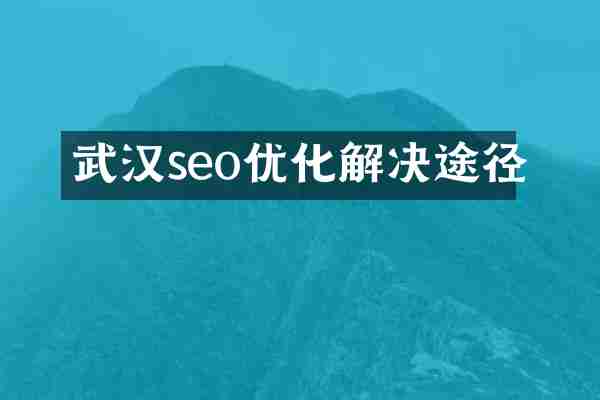 武汉seo优化解决途径