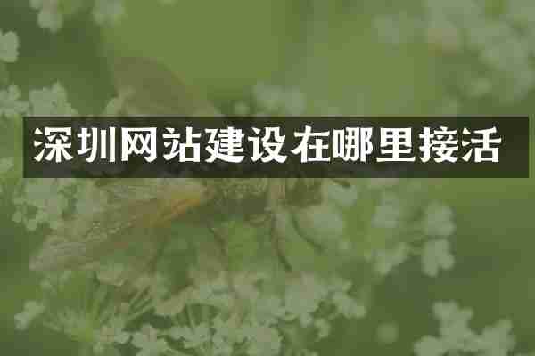深圳网站建设在哪里接活