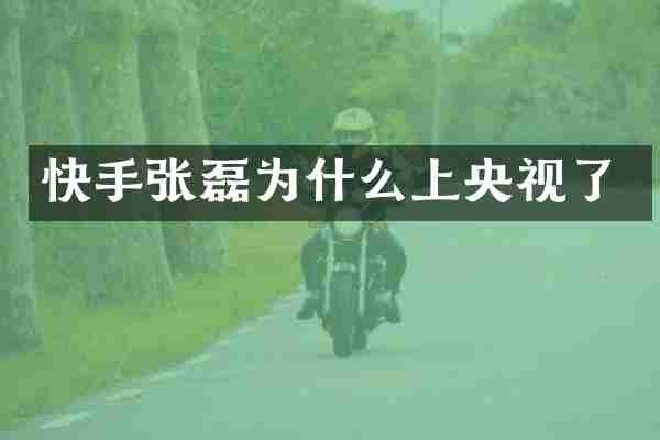 快手张磊为什么上央视了