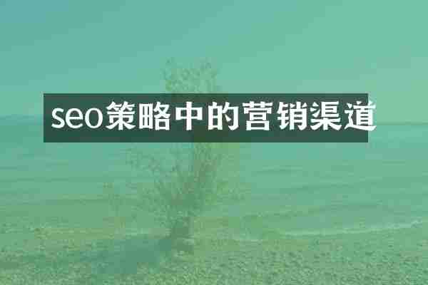 seo策略中的营销渠道