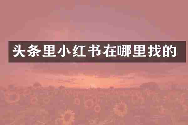 头条里小红书在哪里找的