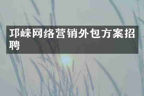 邛崃网络营销外包方案招聘