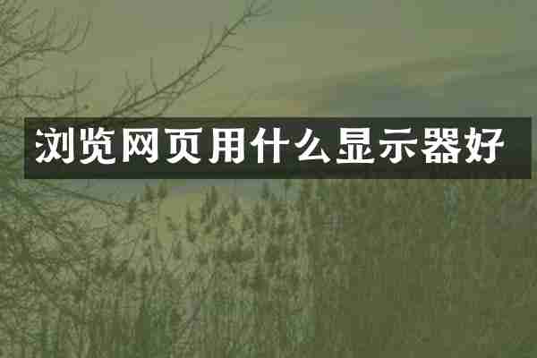 浏览网页用什么显示器好