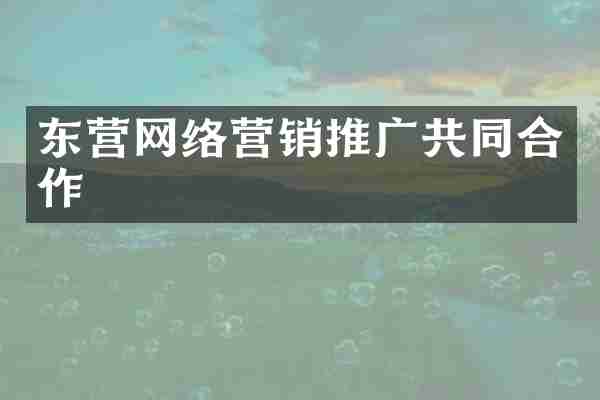 东营网络营销推广共同合作