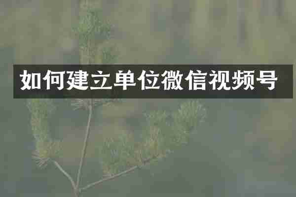 如何建立单位微信视频号