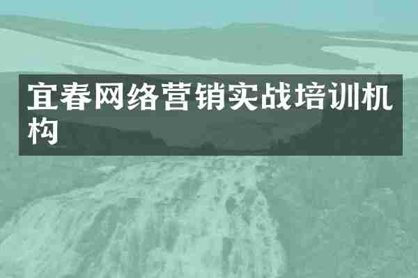 宜春网络营销实战培训机构