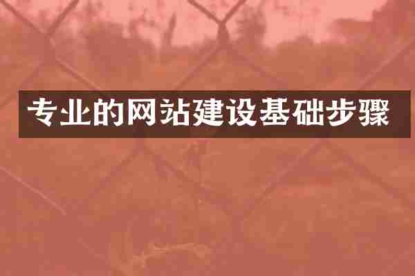专业的网站建设基础步骤