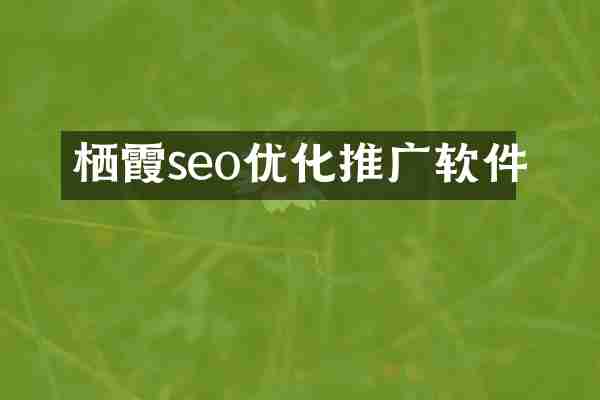栖霞seo优化推广软件