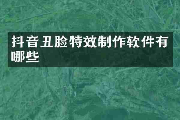 抖音丑脸特效制作软件有哪些