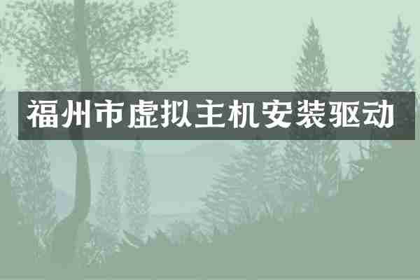 福州市虚拟主机安装驱动