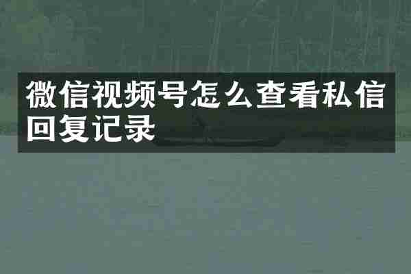 微信视频号怎么查看私信回复记录
