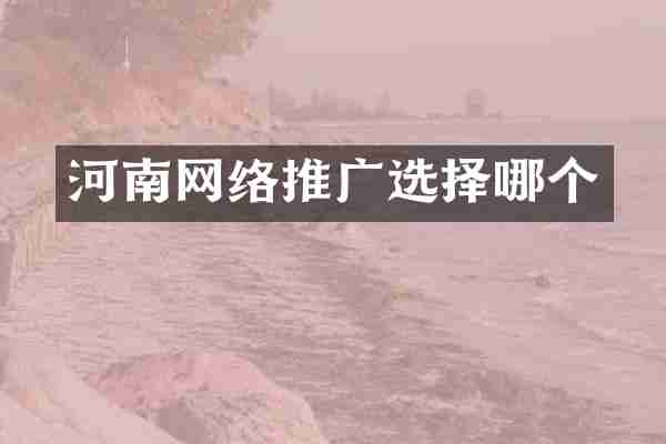 河南网络推广选择哪个