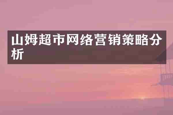 山姆超市网络营销策略分析