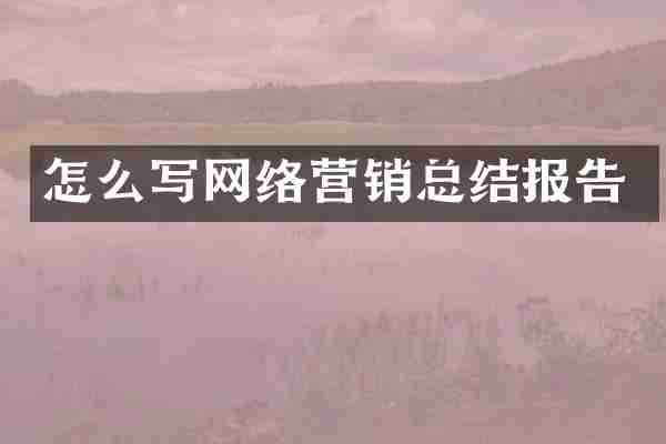 怎么写网络营销总结报告