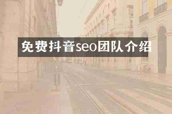 免费抖音seo团队介绍