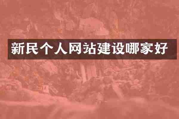 新民个人网站建设哪家好